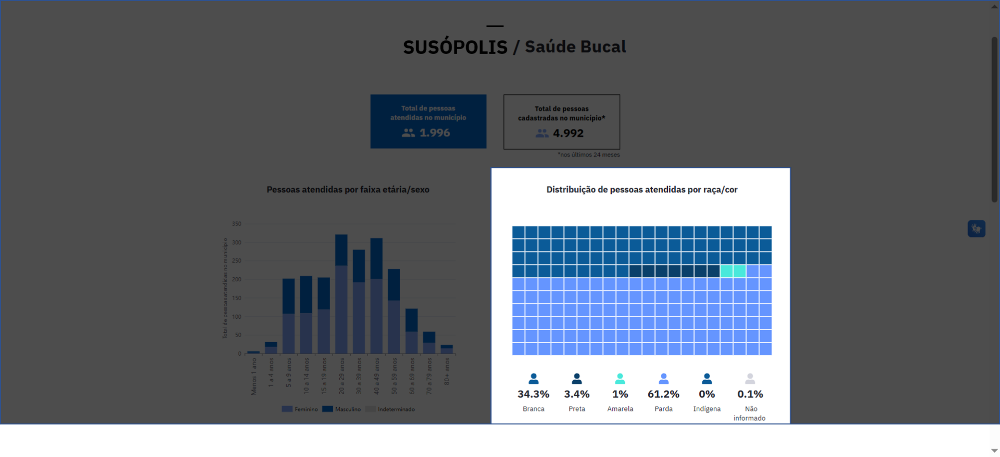 Distribuição das pessoas atendidas por raça/cor
