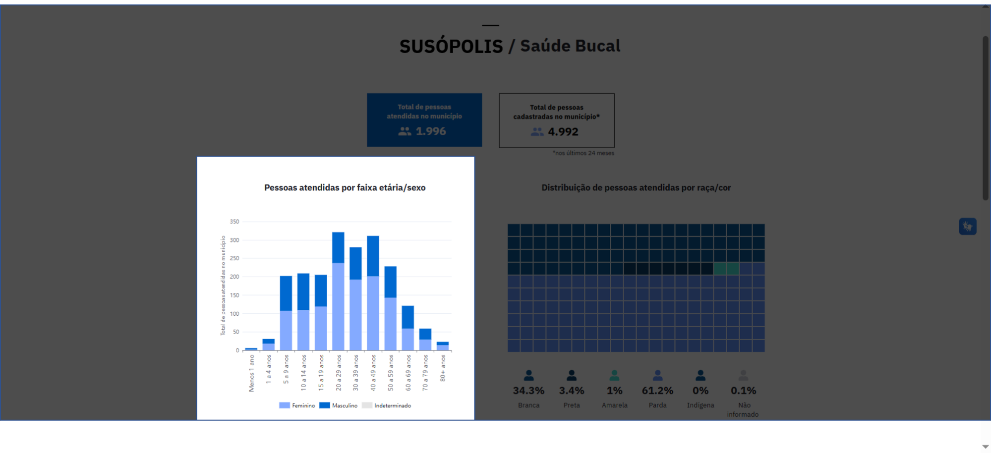 Pessoas atendidas por faixa etária/sexo