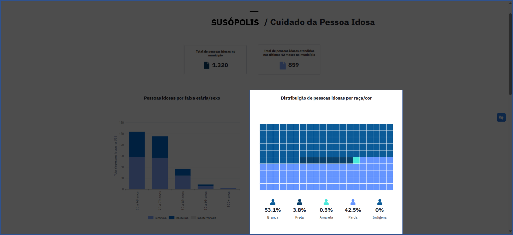 Distribuição de pessoa idosas por raça/cor
