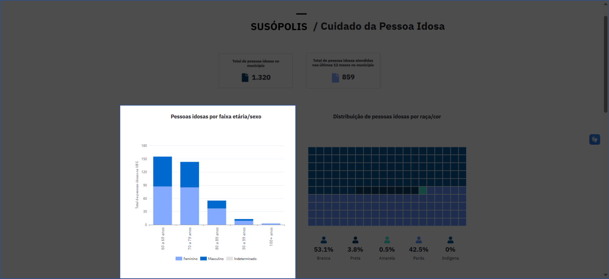 Pessoas idosas por faixa etária/sexo